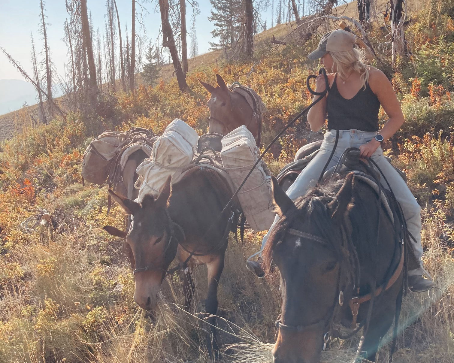 Megan Edwards - Horse Riding Montana