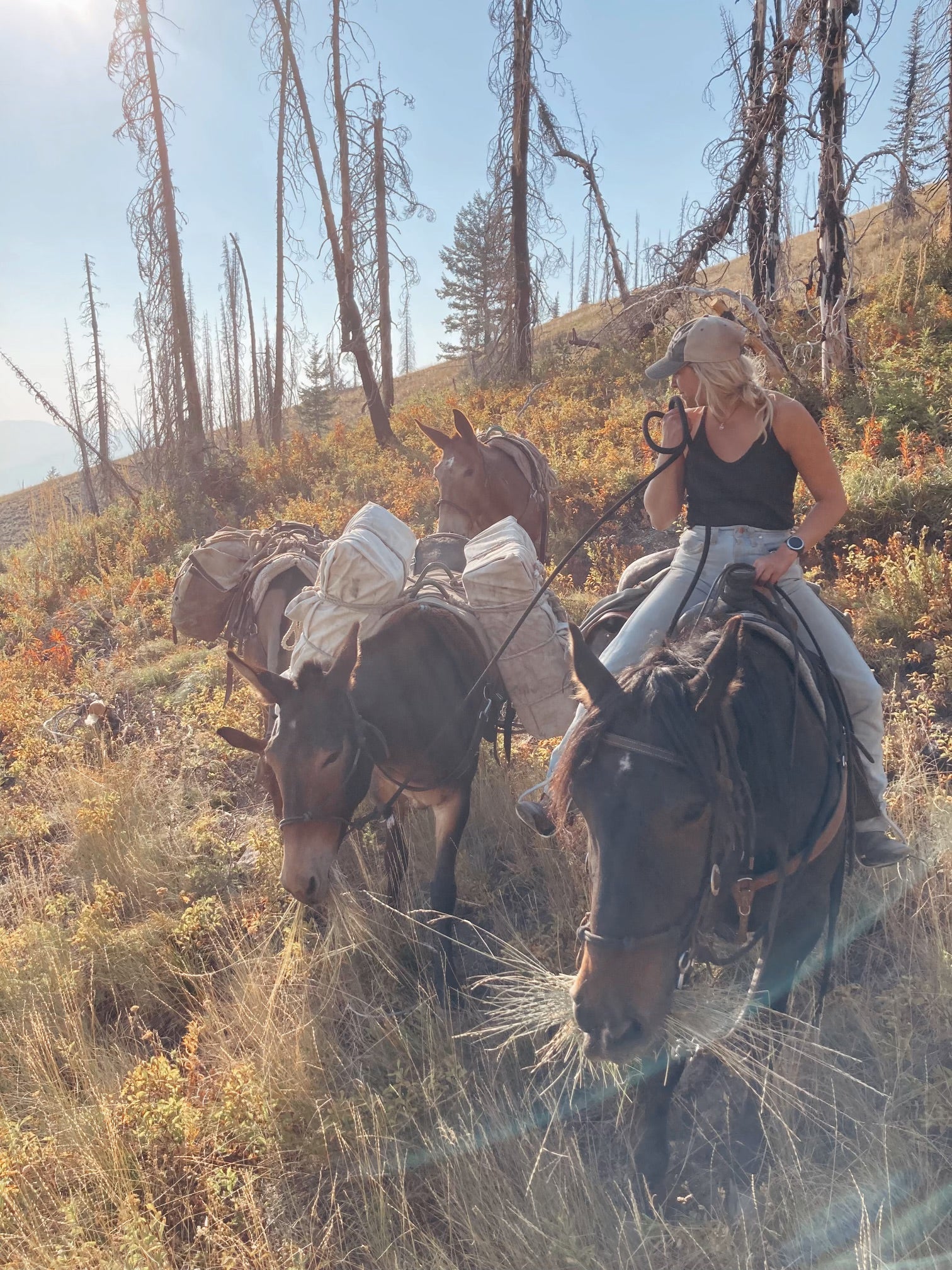 Megan Edwards - Horse Riding Montana